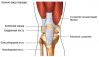 Травмы колена